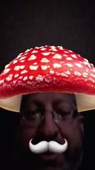 Preview for a Spotlight video that uses the Funny Mushroom Lens