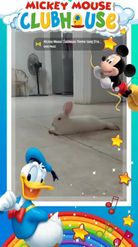 Preview for a Spotlight video that uses the Mickey Mouse Frame Lens