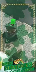 Preview for a Spotlight video that uses the St Patricks Day ES Lens