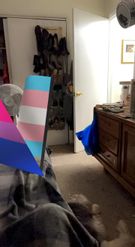 Preview for a Spotlight video that uses the Pride Flags Lens