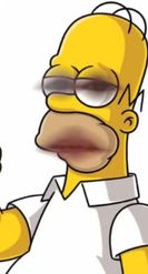 Preview for a Spotlight video that uses the homer simpson Lens