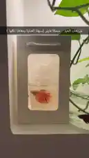 Video by @home_garden3 with original sound