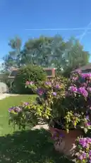 Video by @nxzoemie with original sound