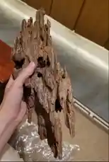 Video by @nawader.aloud44 with original sound