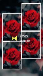 Preview for a Spotlight video that uses the Red Roses Lens