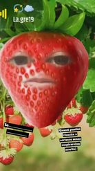 Preview for a Spotlight video that uses the Strawberry Face Lens