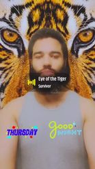 Preview for a Spotlight video that uses the Tiger on Background Lens
