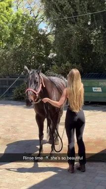 Hailey Pandolfi (@haileypandolfi) | Snapchat Stories, Spotlight & Lenses
