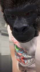 Preview for a Spotlight video that uses the gorilla body Lens