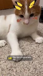 Preview for a Spotlight video that uses the pikachu pets Lens