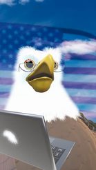 Preview for a Spotlight video that uses the Bald Eagle Lens
