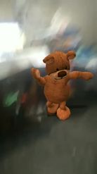 Preview for a Spotlight video that uses the Dancing bear Lens
