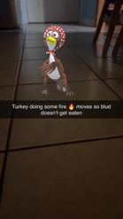 Preview for a Spotlight video that uses the Turkey Macarena Lens