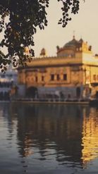Preview for a Spotlight video that uses the golden-temple Lens
