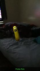 Preview for a Spotlight video that uses the Jumpy Pickle Lens