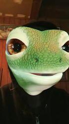 Preview for a Spotlight video that uses the Gecko Simulator Lens