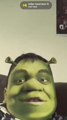 Preview for a Spotlight video that uses the shrek wap Lens