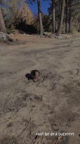 Abbyy.irl (@abbyy.irl) | Snapchat Stories, Spotlight & Lenses