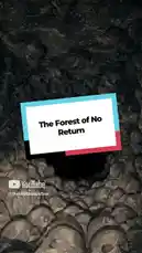 The woods know your name. by @themindknowfear with themindknowfear by Original Sound