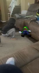 Preview for a Spotlight video that uses the Luigi Dying Lens
