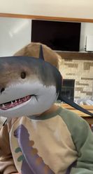 Preview for a Spotlight video that uses the Shark Lens