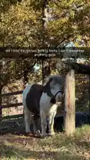 Briana Armbruster (@theskimaskgirl) | Snapchat Stories, Spotlight & Lenses