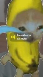 Preview for a Spotlight video that uses the Crying banana cat Lens