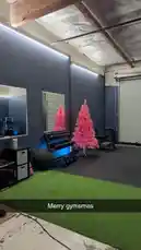 Kit Beefcake (@kitthebeefcake) | Snapchat Stories, Spotlight & Lenses