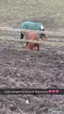 Video by @monajohanneh with original sound