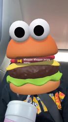 Preview for a Spotlight video that uses the Hamburger Lens