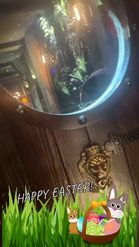 Preview for a Spotlight video that uses the Easter Bunnies Lens
