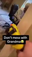 In this hilarious moment, Grandma shows she means business! Watch her chase someone down the hall with a chainsaw, proving you really shouldn't mess with her. It's a wild, funny scene that captures a truly unexpected family moment. by @eirakoze64 with Original Sound by treysartorius
