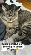 Video by @itsluckymike with original sound
