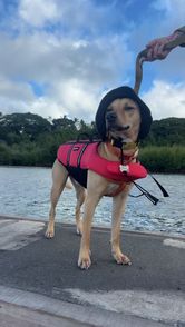 Ella (@itsellamoncrief) | Snapchat Stories, Spotlight & Lenses