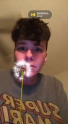 Preview for a Spotlight video that uses the Blow Dandelion Lens
