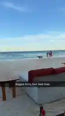 Kash Bains (@kashman_bains) | Snapchat Stories, Spotlight & Lenses