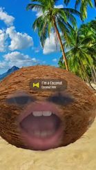 Preview for a Spotlight video that uses the Coconut Head Lens