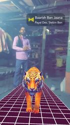 Preview for a Spotlight video that uses the 3D Tiger Walks Lens