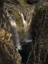 Gods creation🤩🤩 by @ddavis.7 with original sound