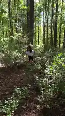 Sofia (@alwayssofiaxoxo) | Snapchat Stories, Spotlight & Lenses