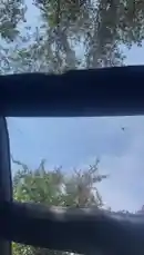 Video by @marcus.randall with original sound