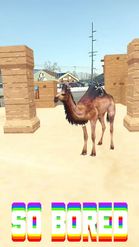 Preview for a Spotlight video that uses the Desert-camel Lens
