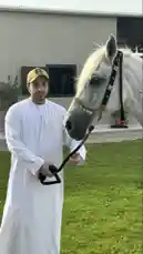 الخيل 🐎❤️ by @bbbbb with original sound