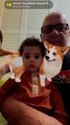Preview for a Spotlight video that uses the Corgi on shoulders Lens