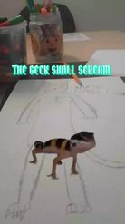 Preview for a Spotlight video that uses the Gecko Screams Lens
