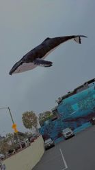 Preview for a Spotlight video that uses the Flying Whales Lens