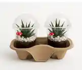 Video by @home_garden3 with original sound