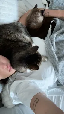 Franncchii (@franncchiii) Snapchat Stories, Spotlight & Lenses