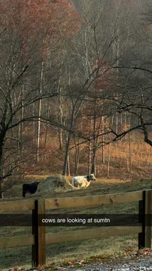 Briana Armbruster (@theskimaskgirl) | Snapchat Stories, Spotlight & Lenses