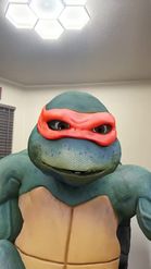 Preview for a Spotlight video that uses the TMNT Lens
